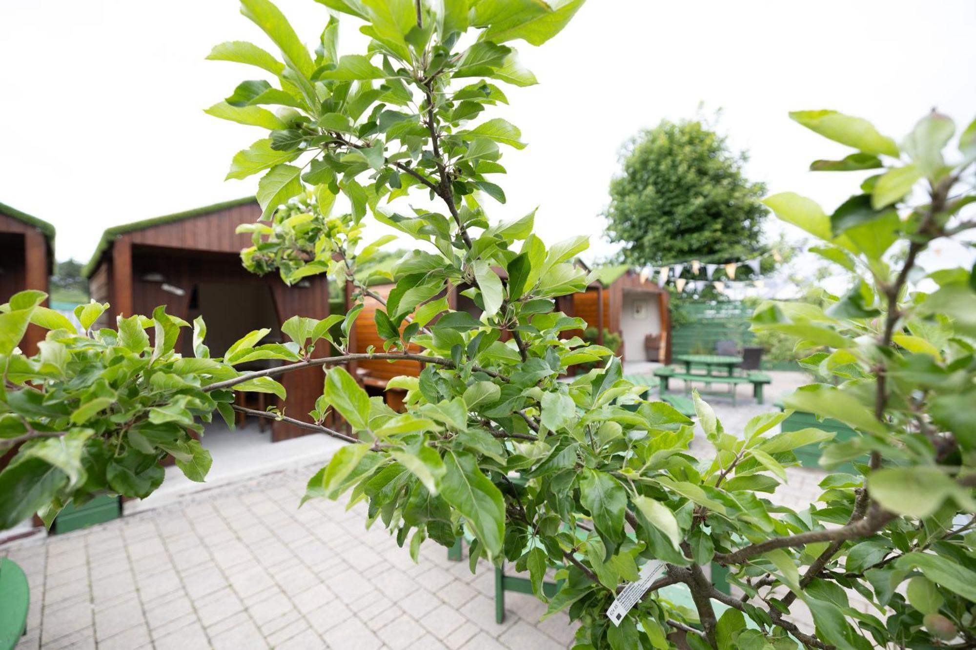 Hotel The Orchard House Kilkenny Zewnętrze zdjęcie